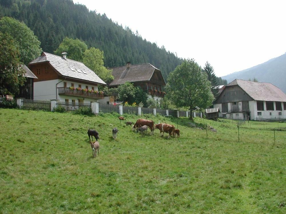 Ferienwohnung Payr Patergassen Buitenkant foto